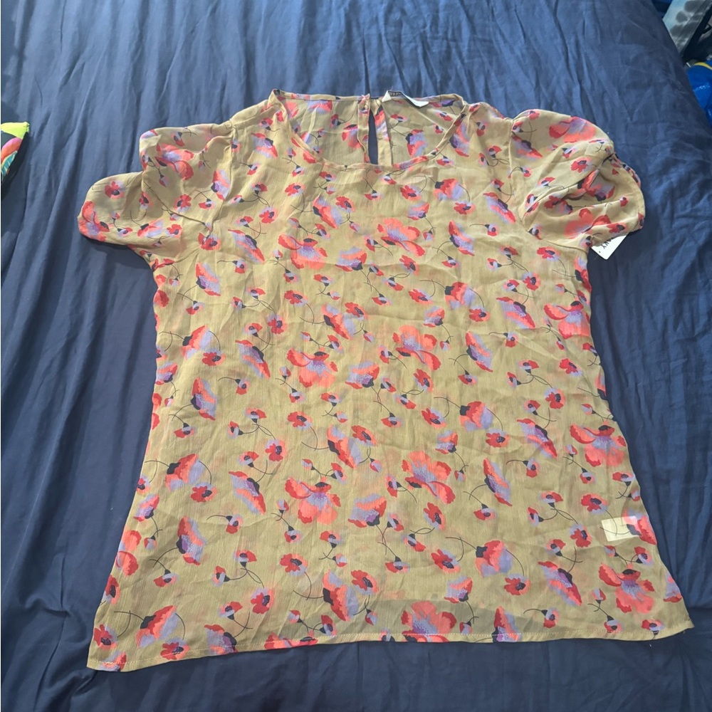 Sheer Chiffon style floral blouse